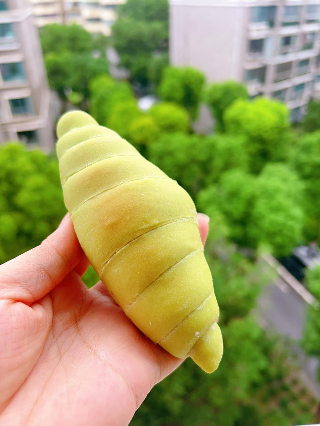 开心果海盐面包卷｜治愈美食里的一抹绿