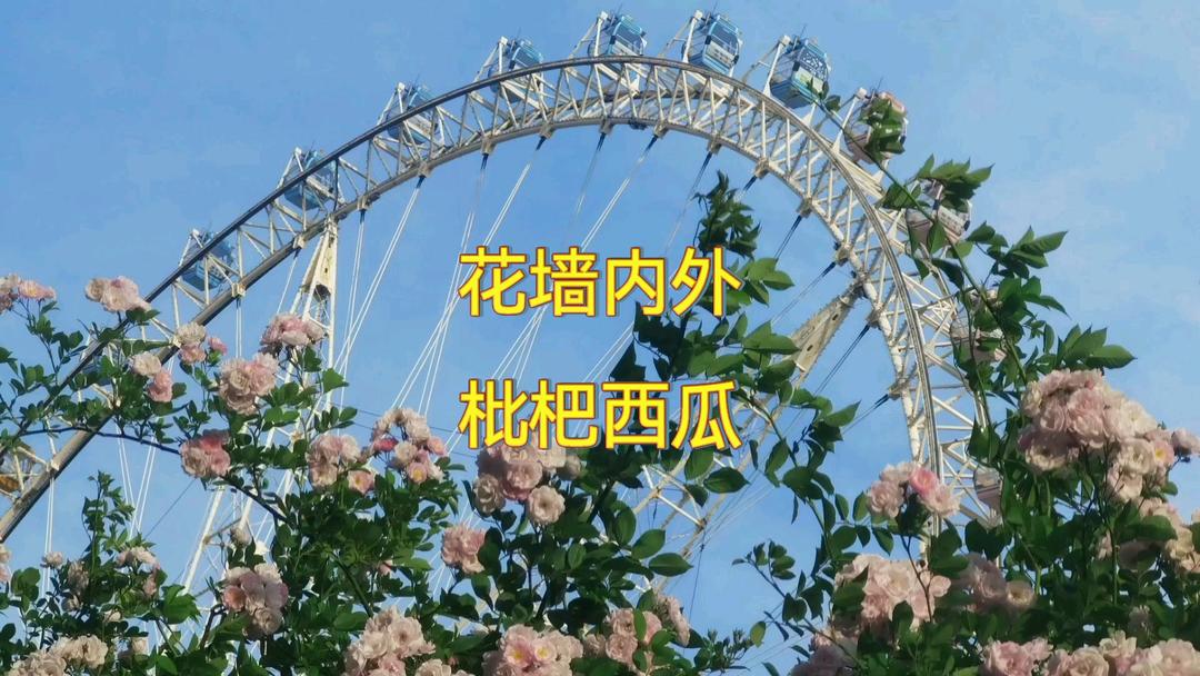 红烧鲳鳊鱼，清蒸驴肉，葱爆河虾