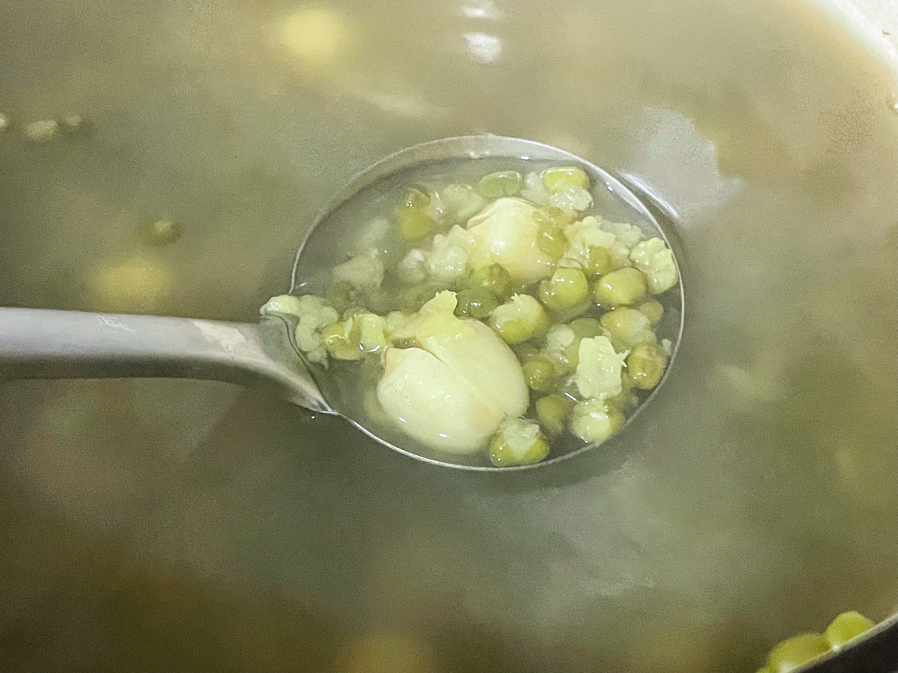 不泡绿豆的节能绿豆汤