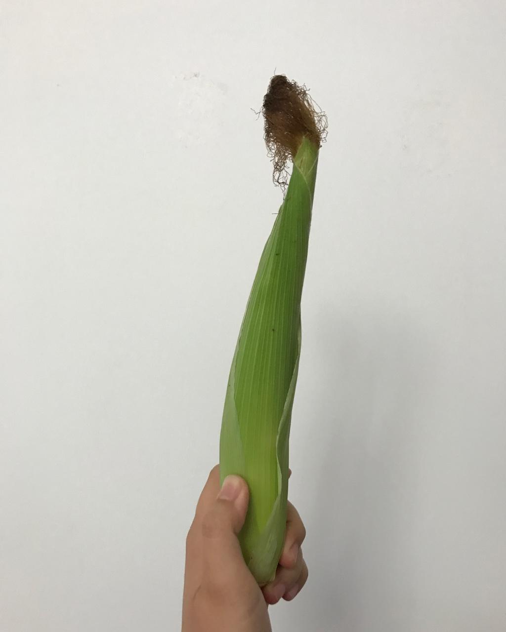 大力的锅