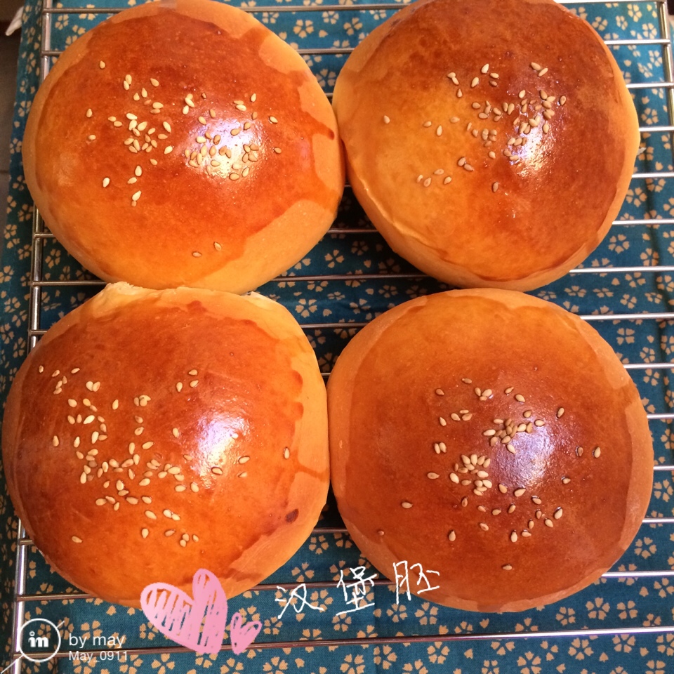 汉堡胚（中种法）