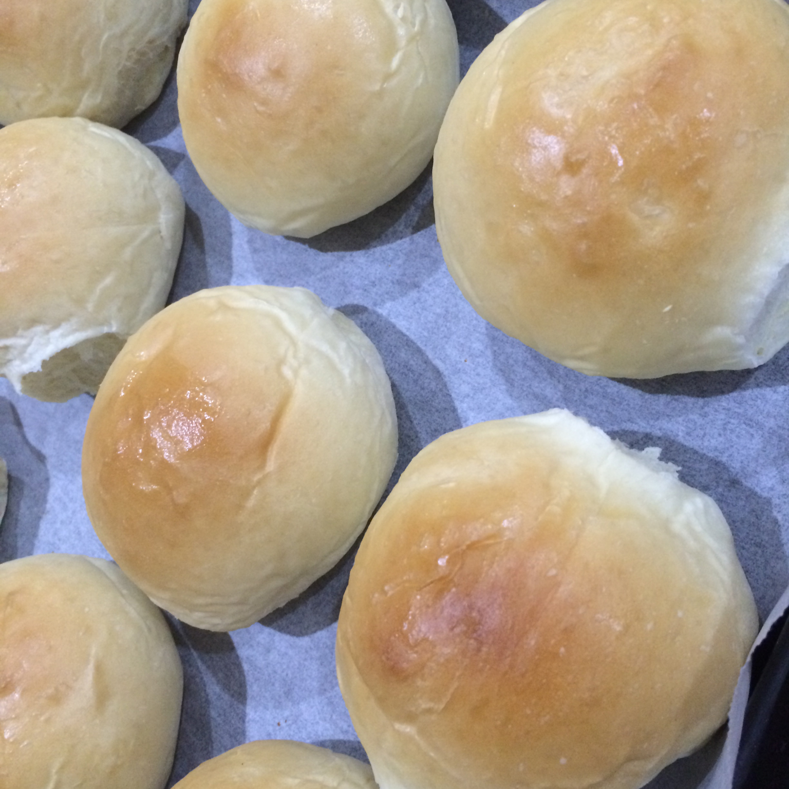 鲜奶油小餐包（一次发酵）