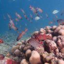 猫腻菇凉4000_j7zc