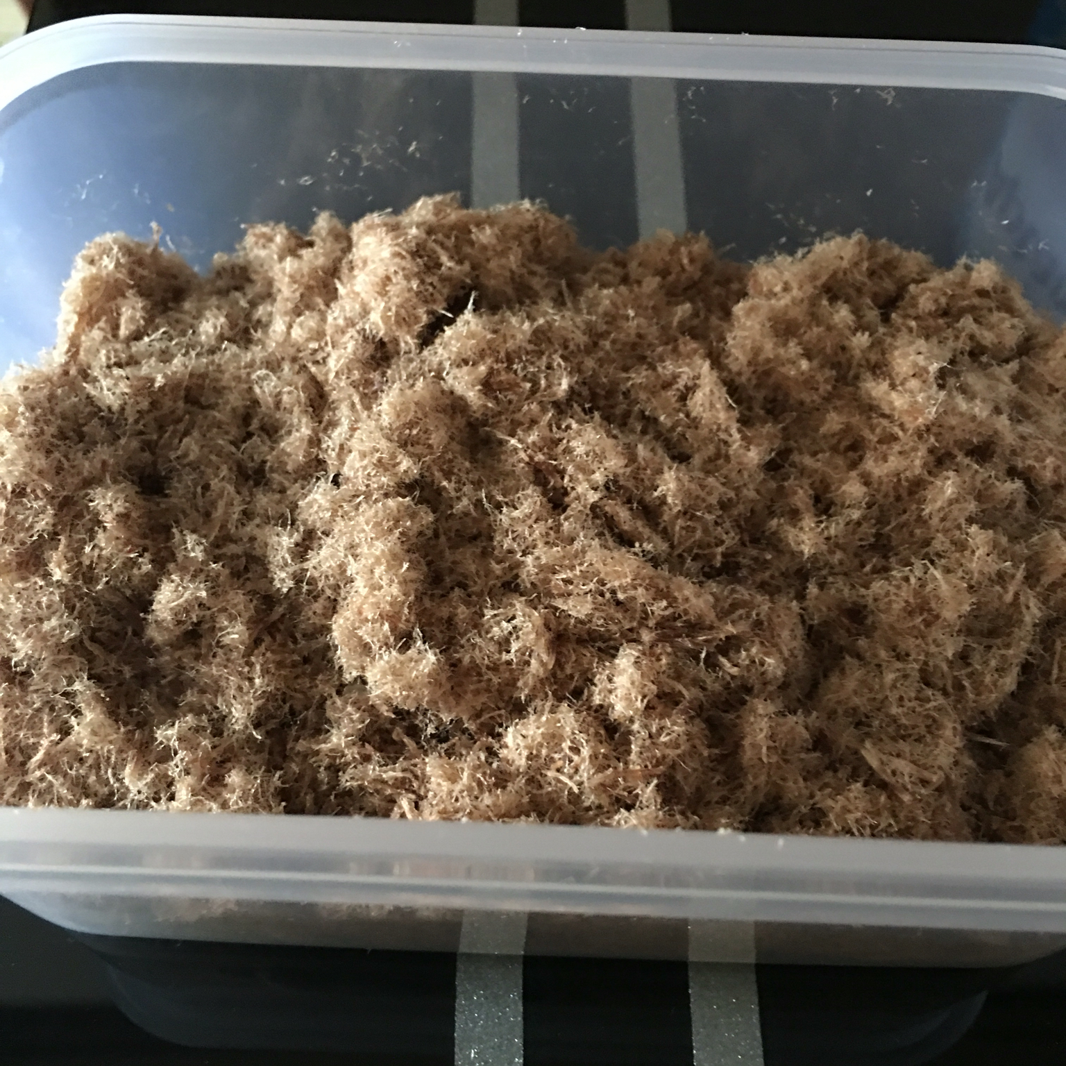 自制宝宝牛肉松