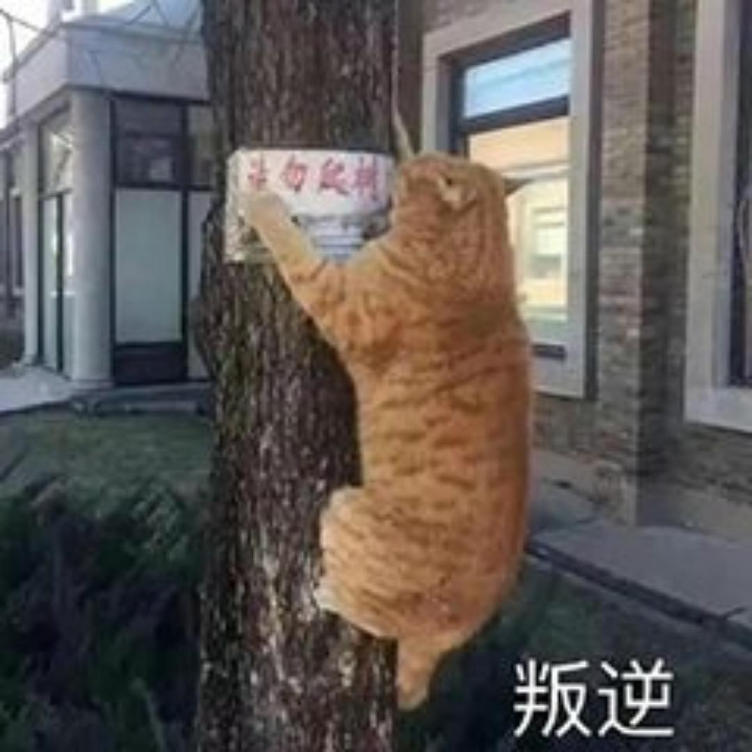 咕叽呱唧叭咕