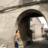奶油狗狗