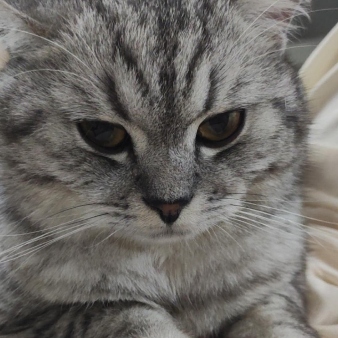 誓言真扯淡_r8zi