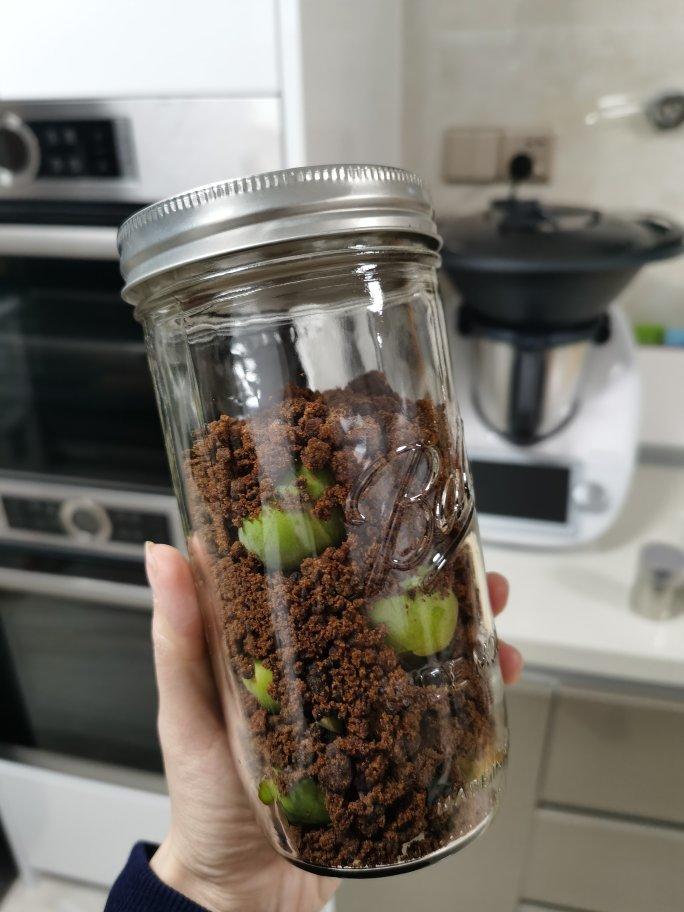 红糖青梅露（青梅酵素）