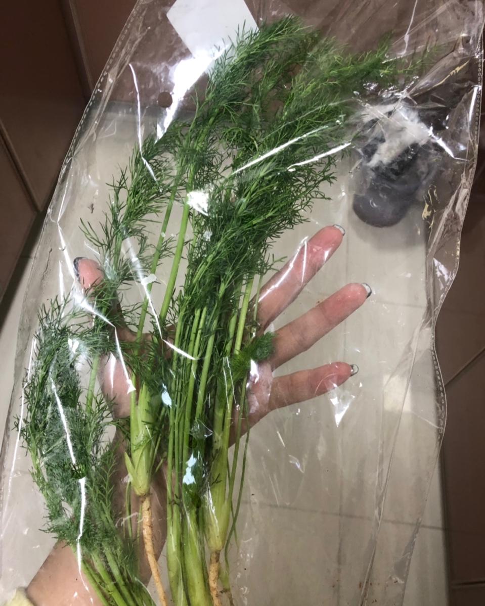 猪肉茴香饺子馅