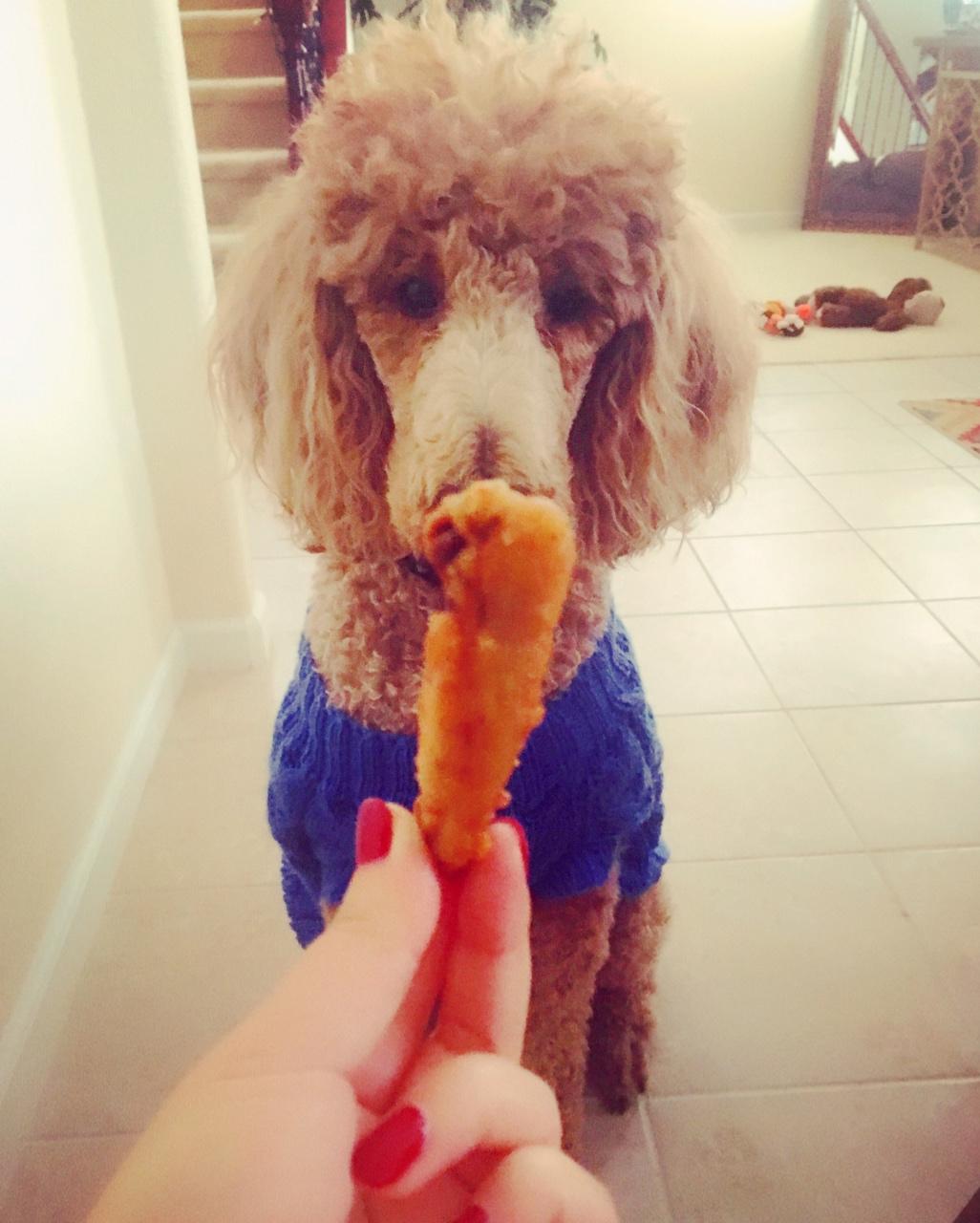 鸡米花【曼食慢语】