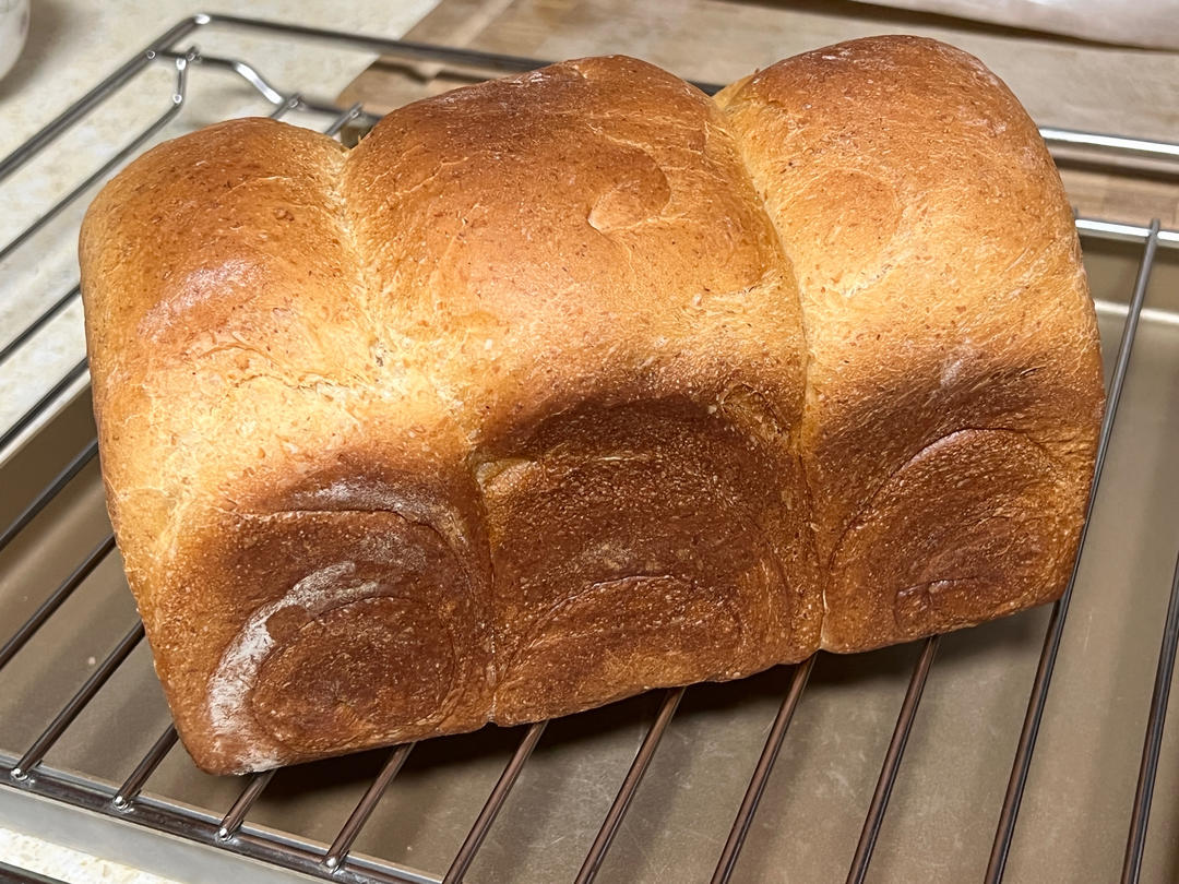 手揉全麦吐司🍞（轻松到哭泣的💧水合法）