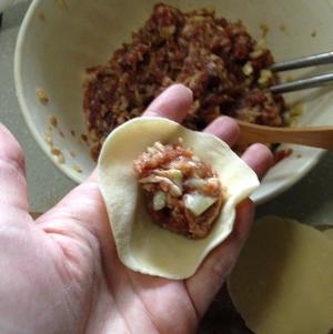 甜瓜味㽪猪肉水饺的做法 步骤14