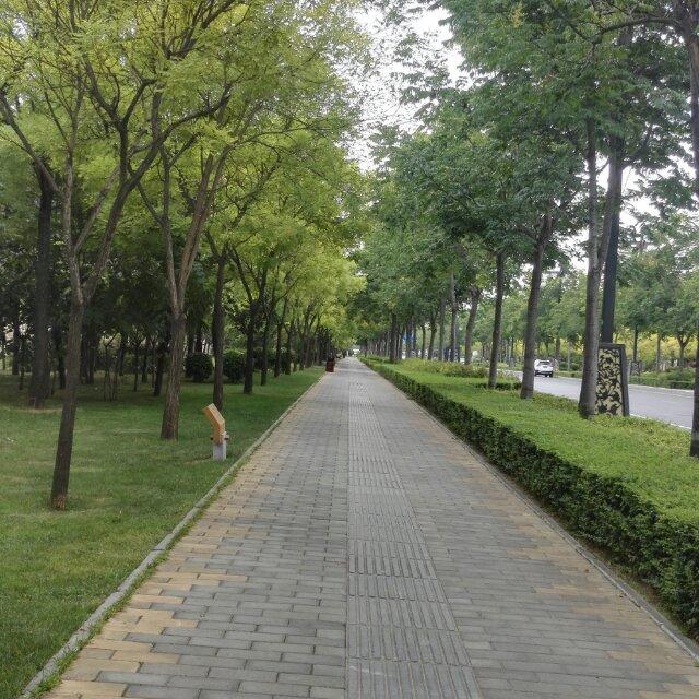 蠡罅