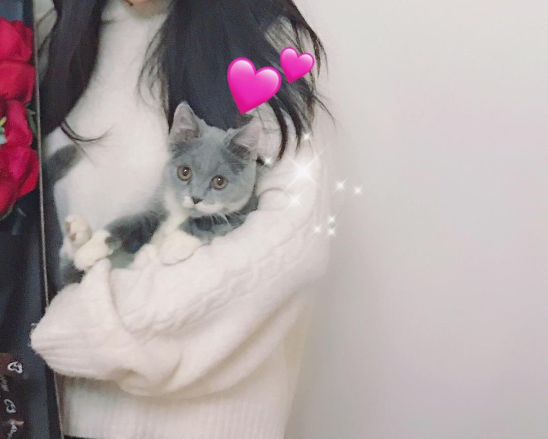 猫咪饭·鸡肉丸子的做法