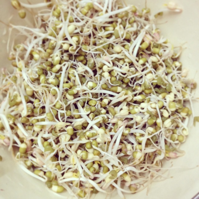 自制豆芽