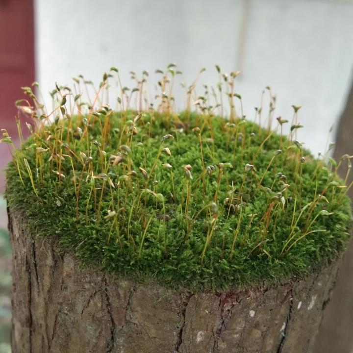 牵着蜗牛散步fy