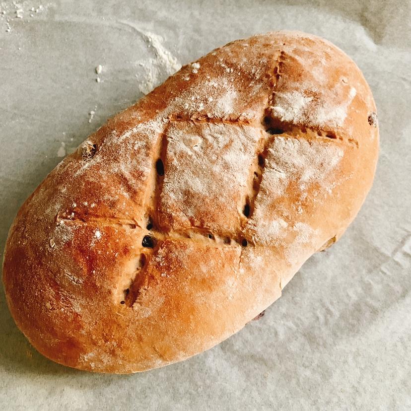 波兰种蔓越莓乳酪软欧