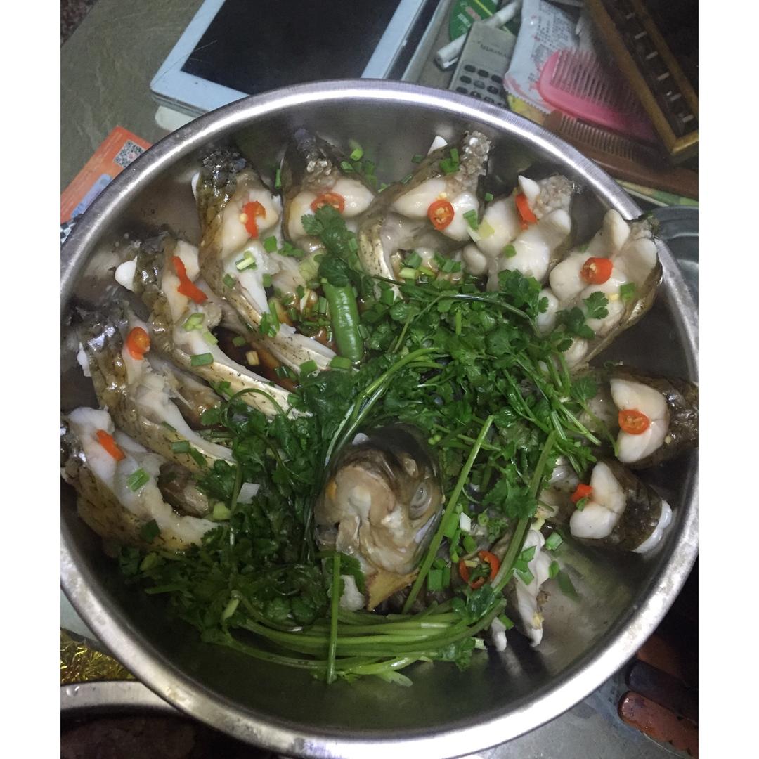 大富大贵开屏鱼