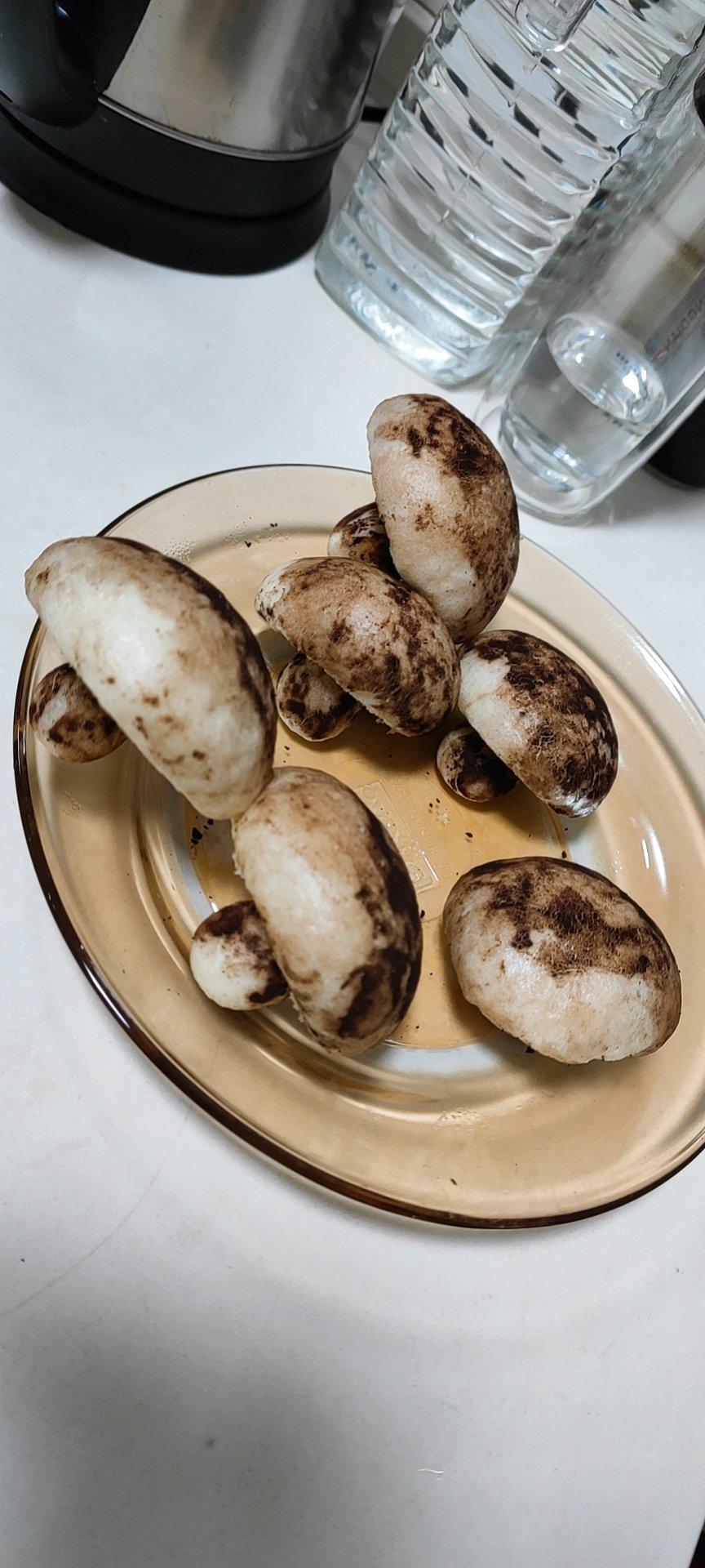 仿真香菇豆沙包