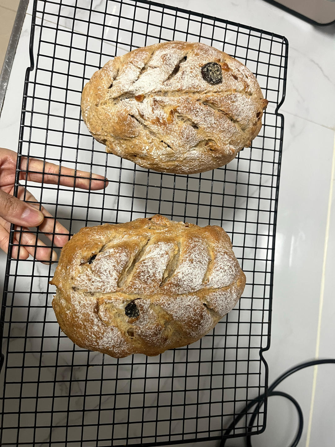 全麦蔓越莓核桃软欧包