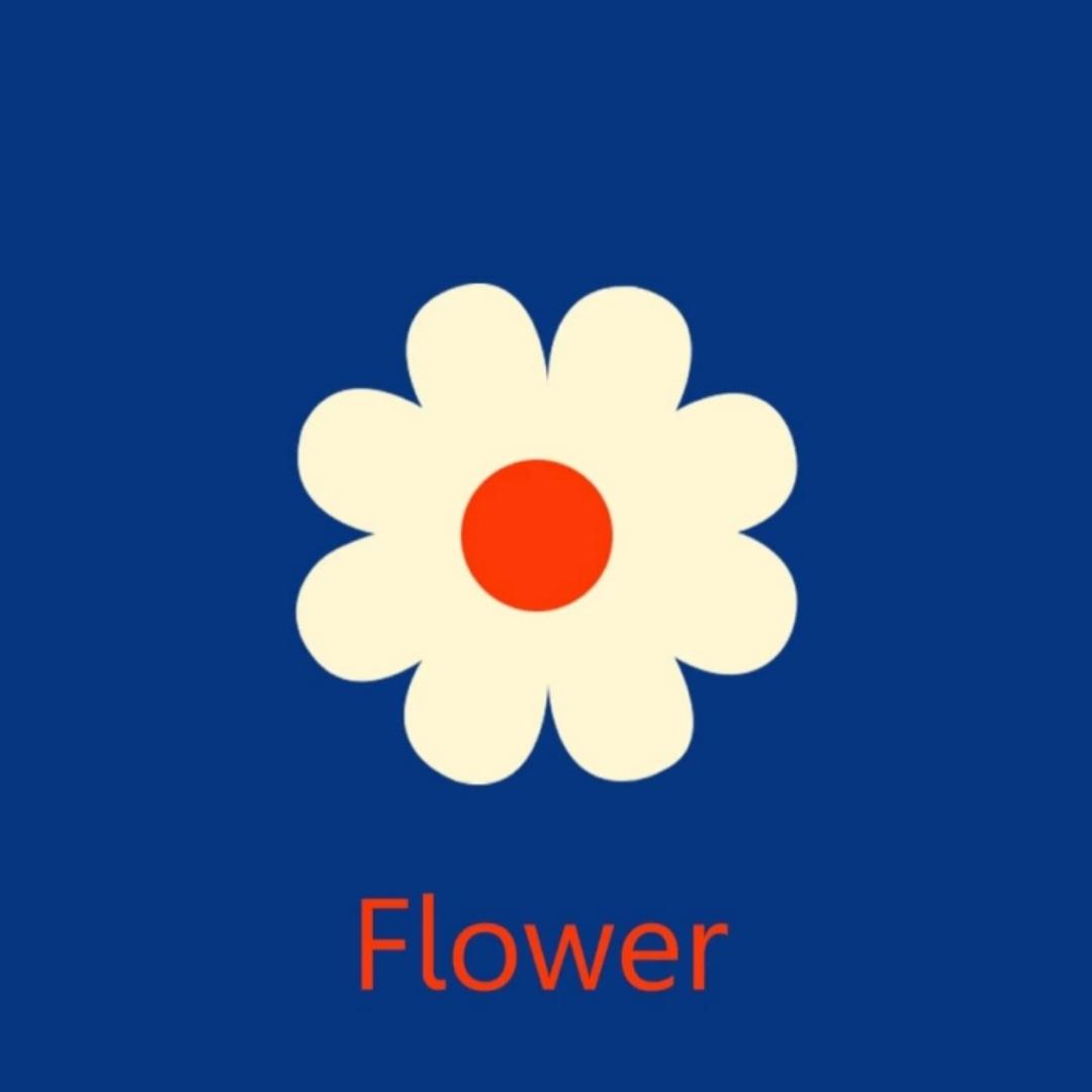我是蒋小花