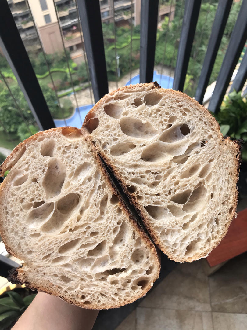 欧包切面组织气孔