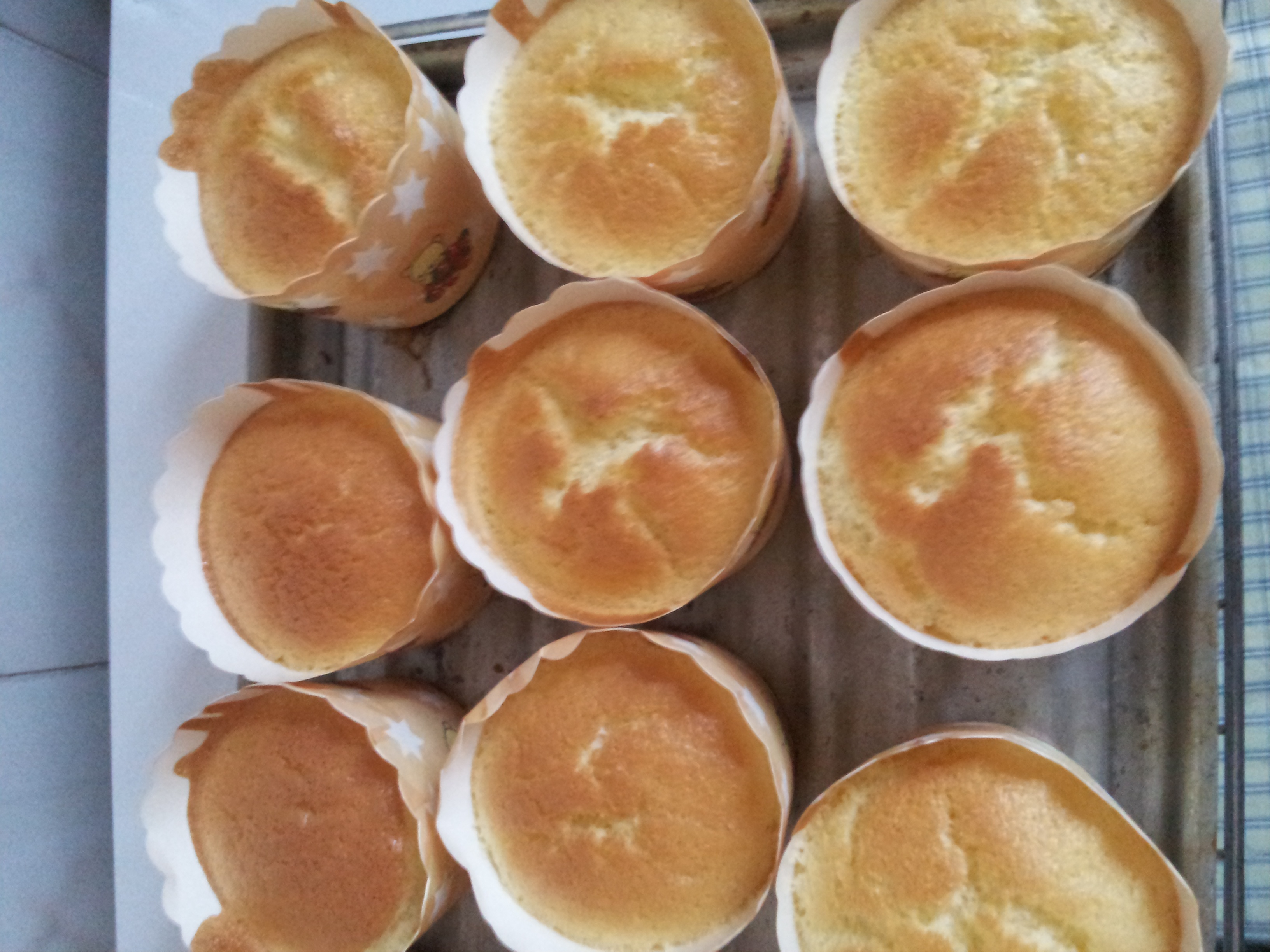 超润海绵蛋糕（无油版）