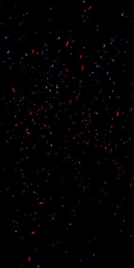 手机用户9485_q8v1