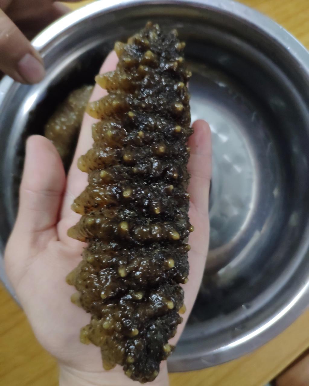 泡发海参(˶‾᷄ ⁻̫ ‾᷅˵)