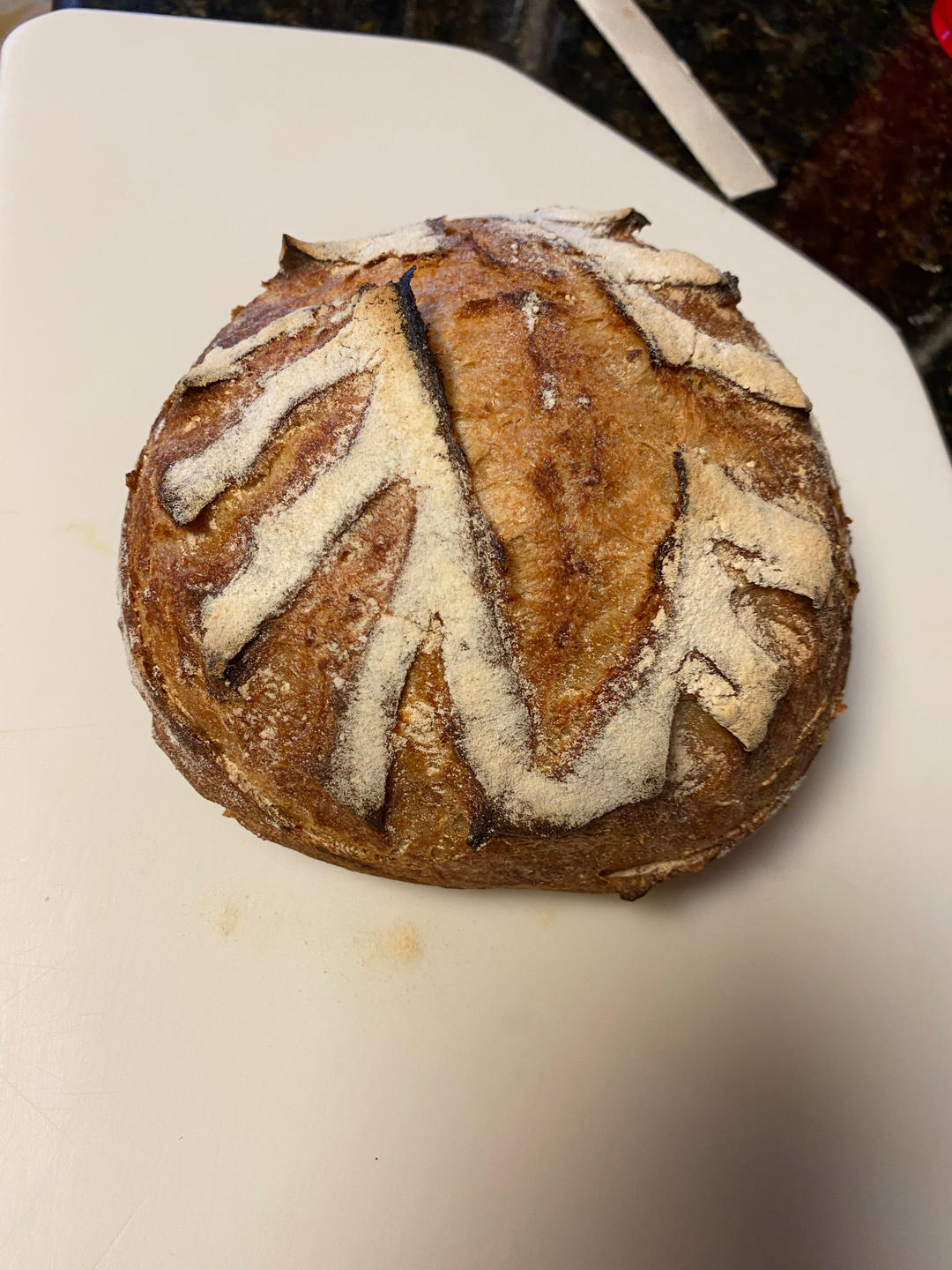 不用铸铁锅烤的简易欧包（sourdough bread）