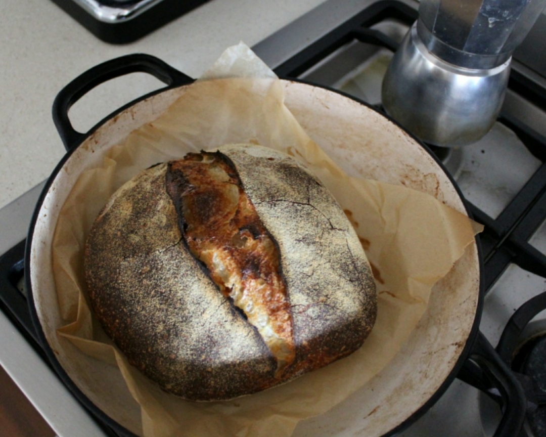什么会影响面包的发酵？