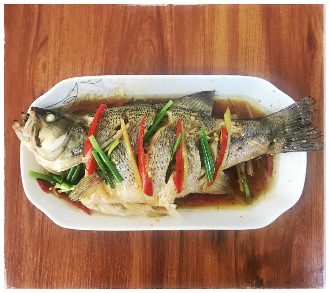 超入味清蒸鱼～清蒸鲈鱼桂花鱼（家常独创）