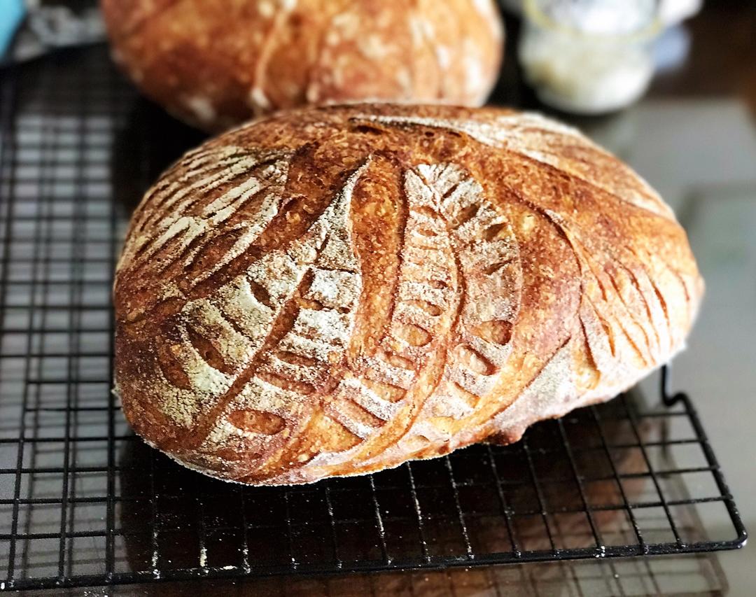 视频教程 天然酵种欧包 基础配方＆制作流程