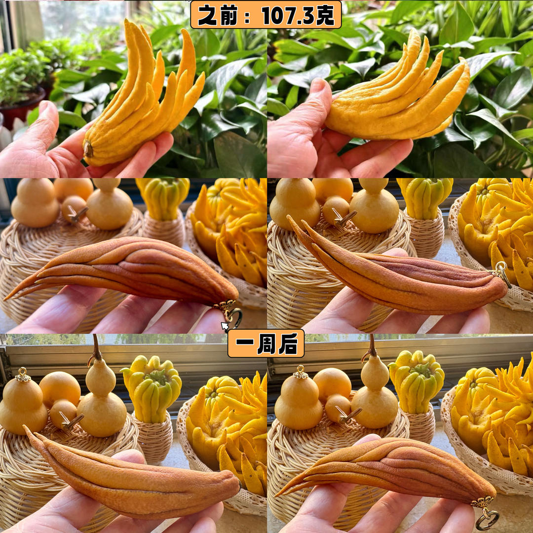 佛手柑