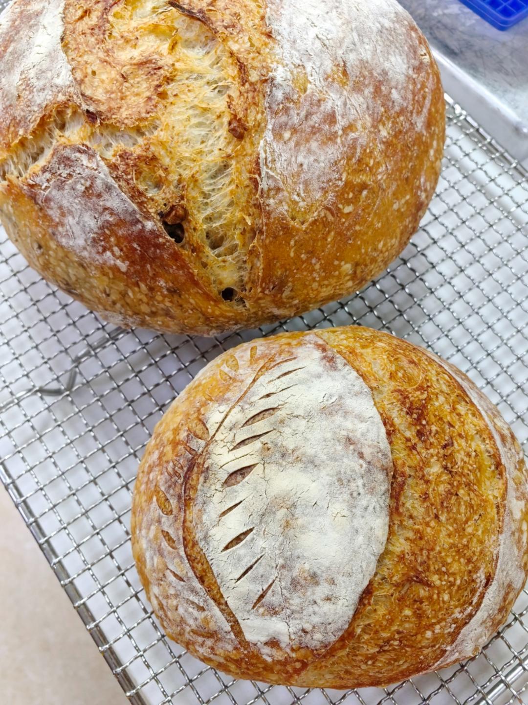 【Tartine Bread】天然酵种基础乡村欧包