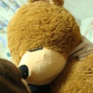 ayuni瞌睡熊