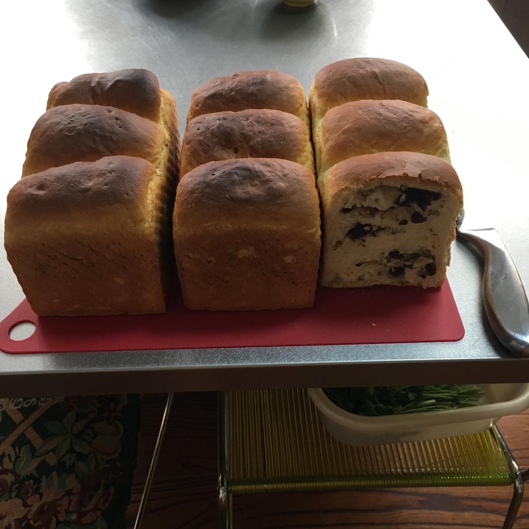 老面包土司！（普通面粉，植物油也可以做出好面包！小时候的味道。。。）