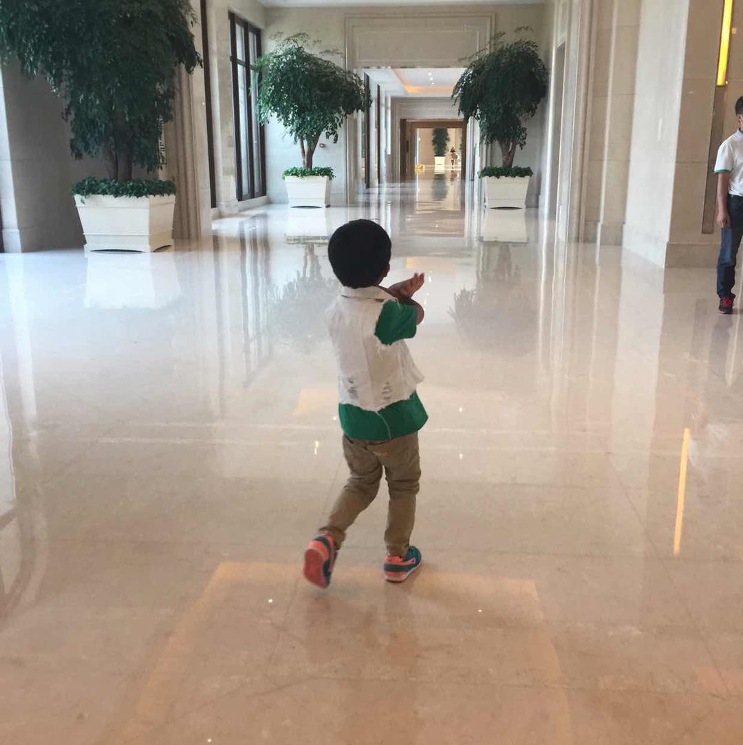 高梧听风