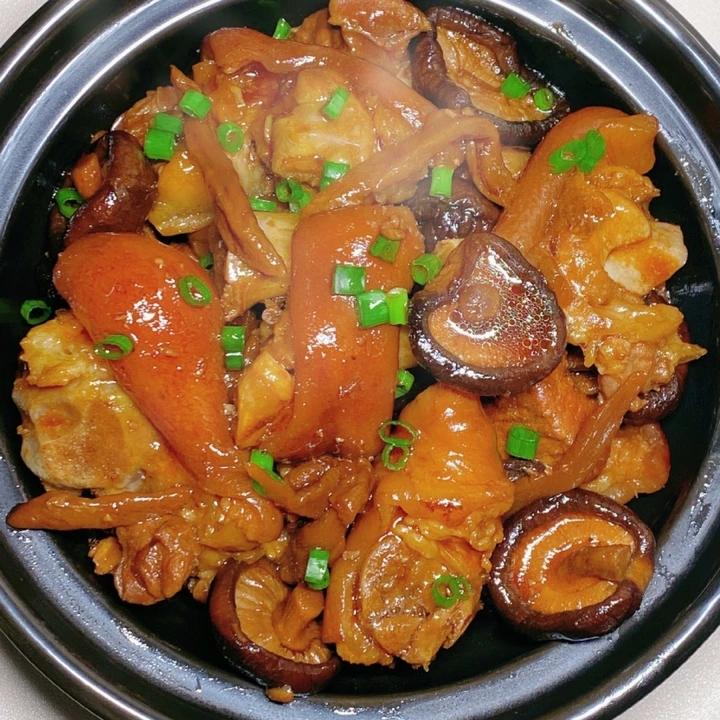 小龟在厨房进修的成果