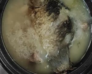 孕妈橄榄鲫鱼汤的做法 步骤9