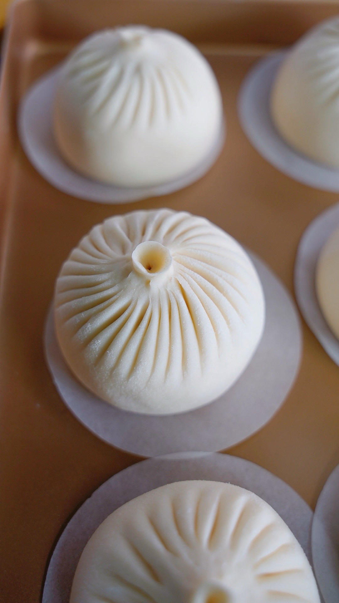 怎么包出皮薄馅大又好看的提褶包