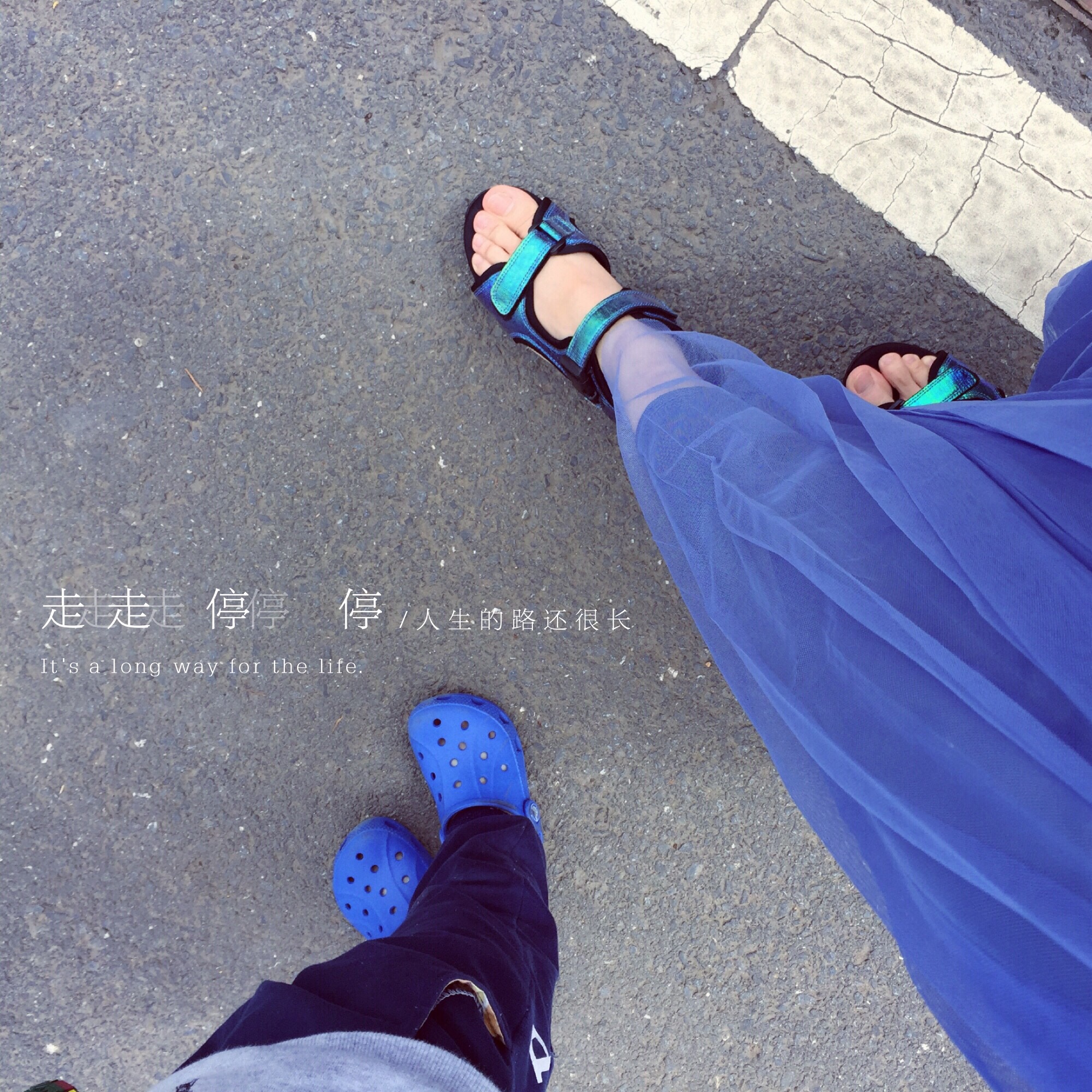 雅希lucia