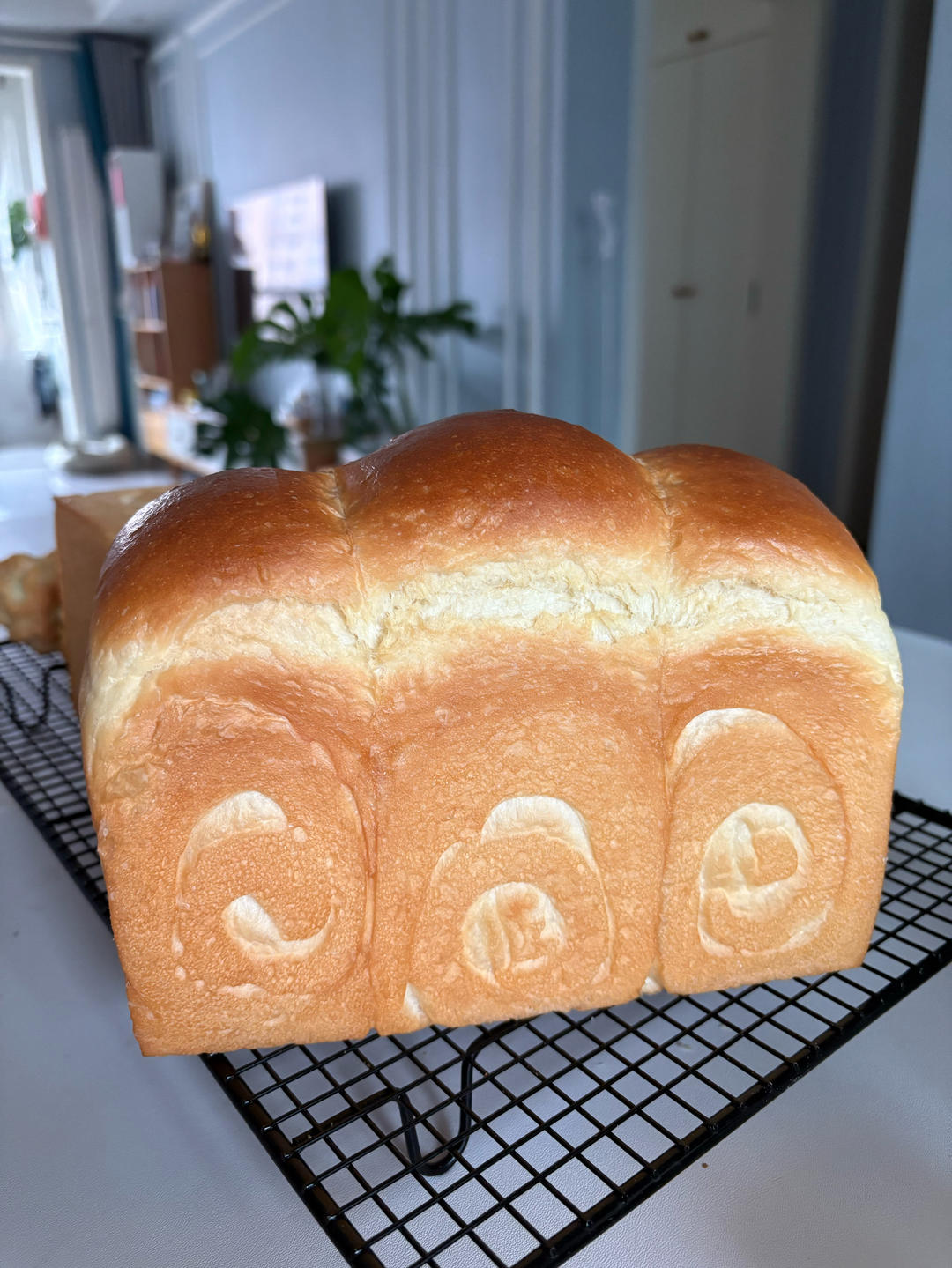 70%中种牛奶吐司