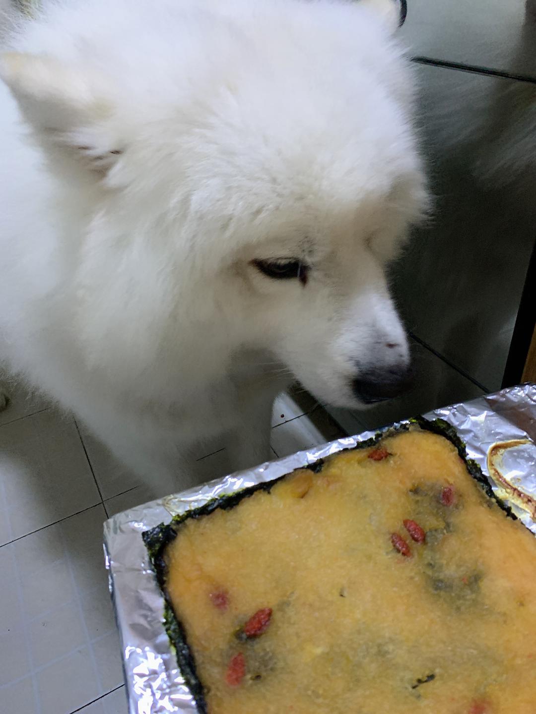 鸡肉海苔脆片（狗零食）的做法