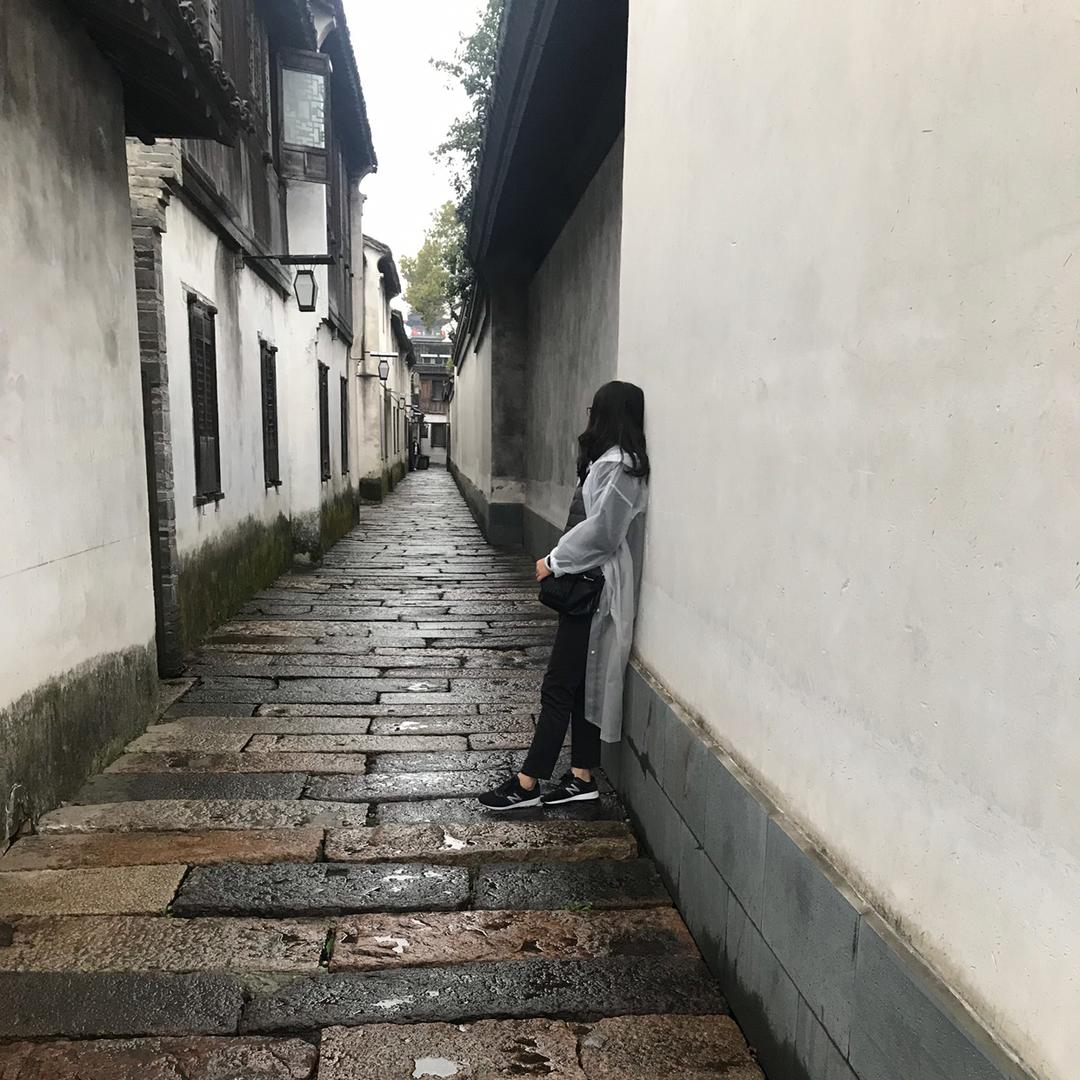 高芯羽