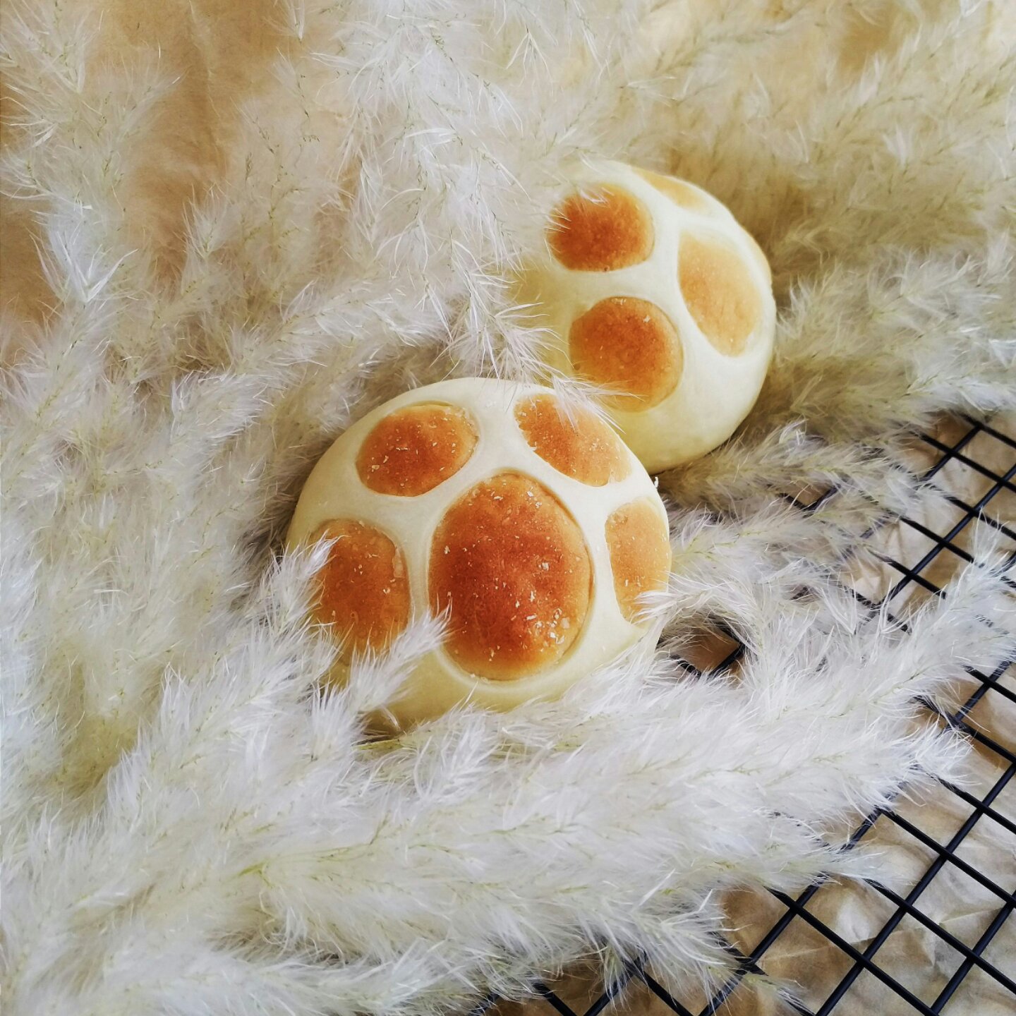 猫爪椰蓉面包——欧克皮的简单装饰