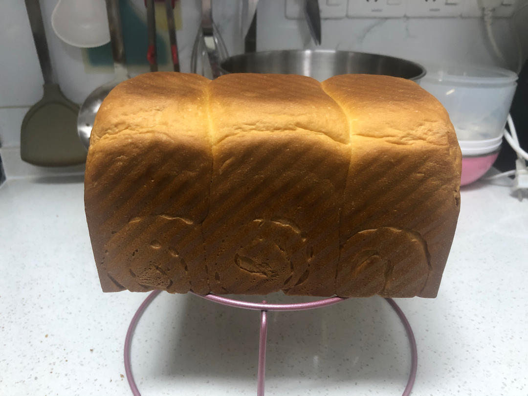 基础牛奶小餐包/汉堡胚/吐司（一次发酵，极简原料）