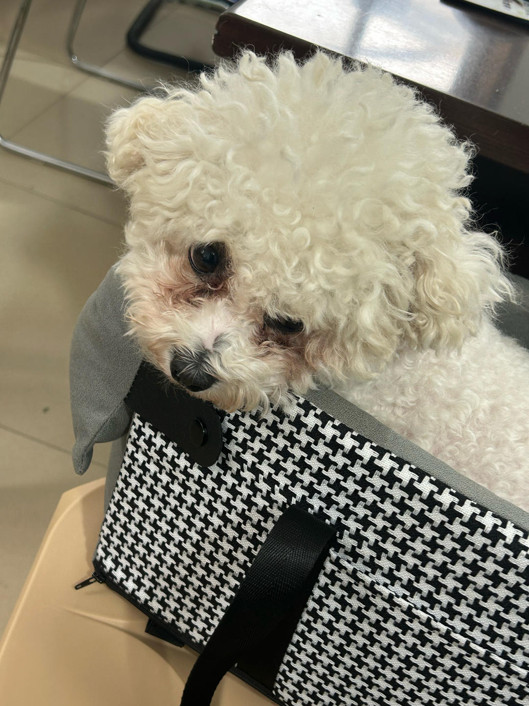 爱生活开心幸福