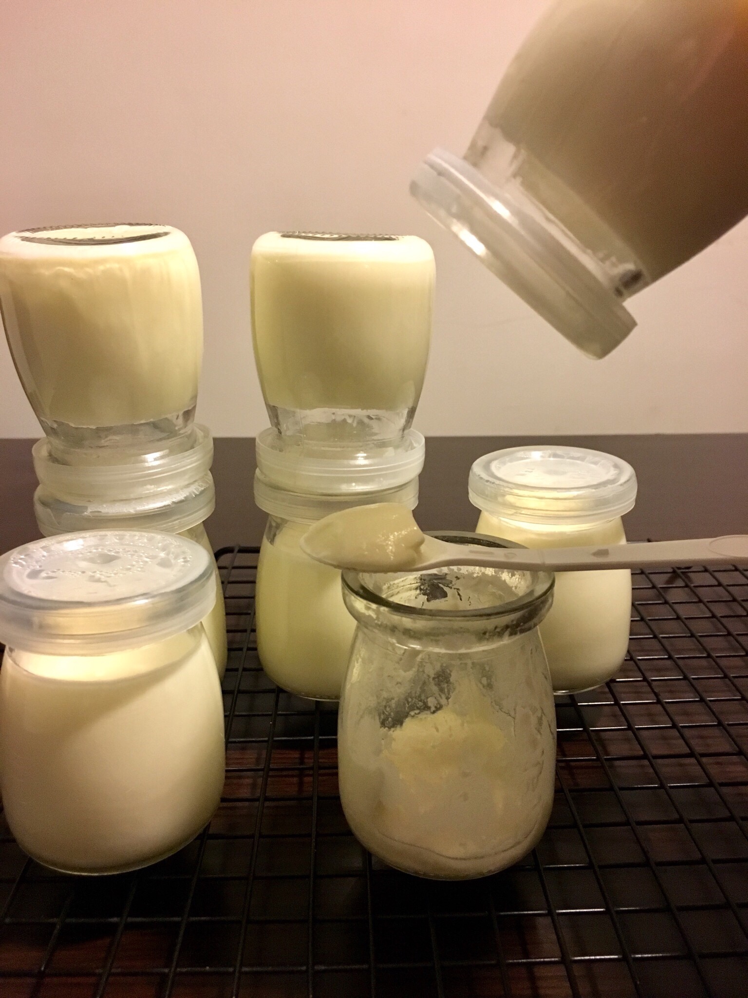 奶粉做酸奶（电炖锅版）