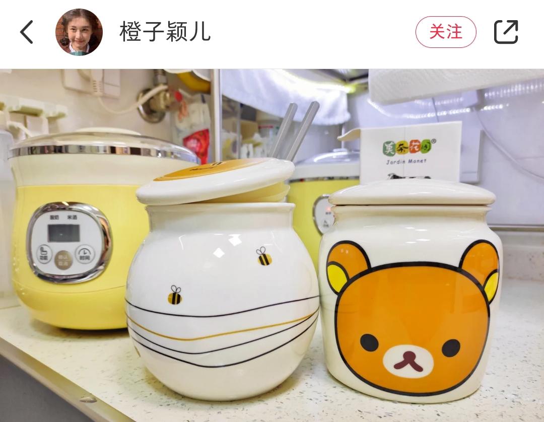 288 陶瓷内胆的酸奶机集锦